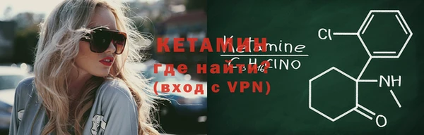 индика Пестово