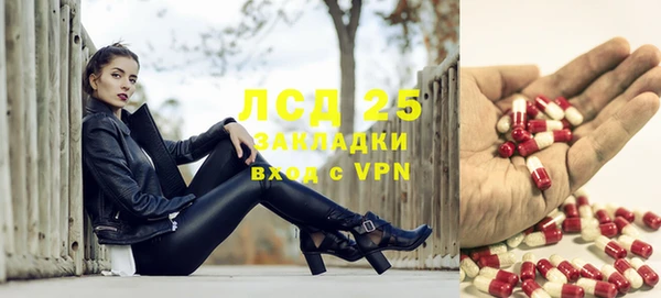 крисы Михайлов