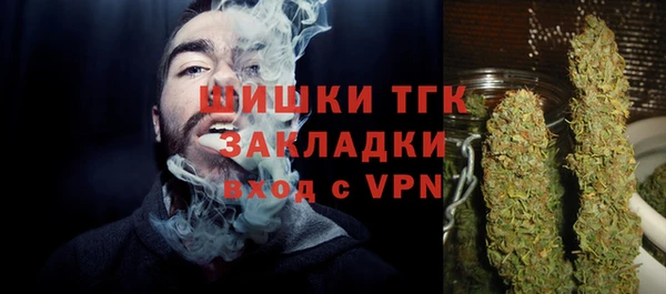 индика Пестово