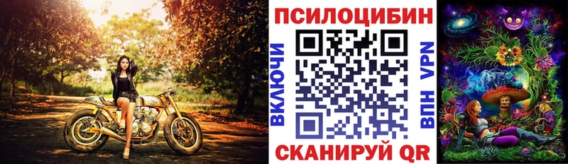 Псилоцибиновые грибы MAGIC MUSHROOMS  мориарти наркотические препараты  Сысерть 